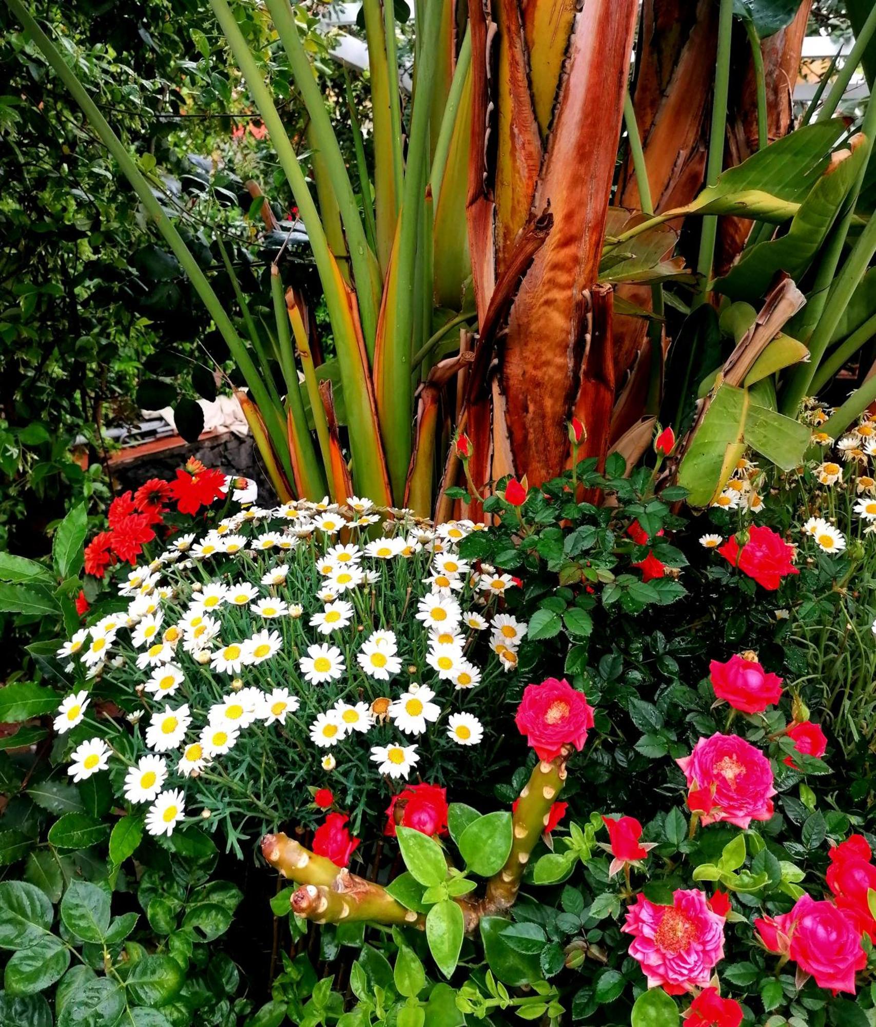 La Foresteria Garden Boutique B&B Catania Luaran gambar