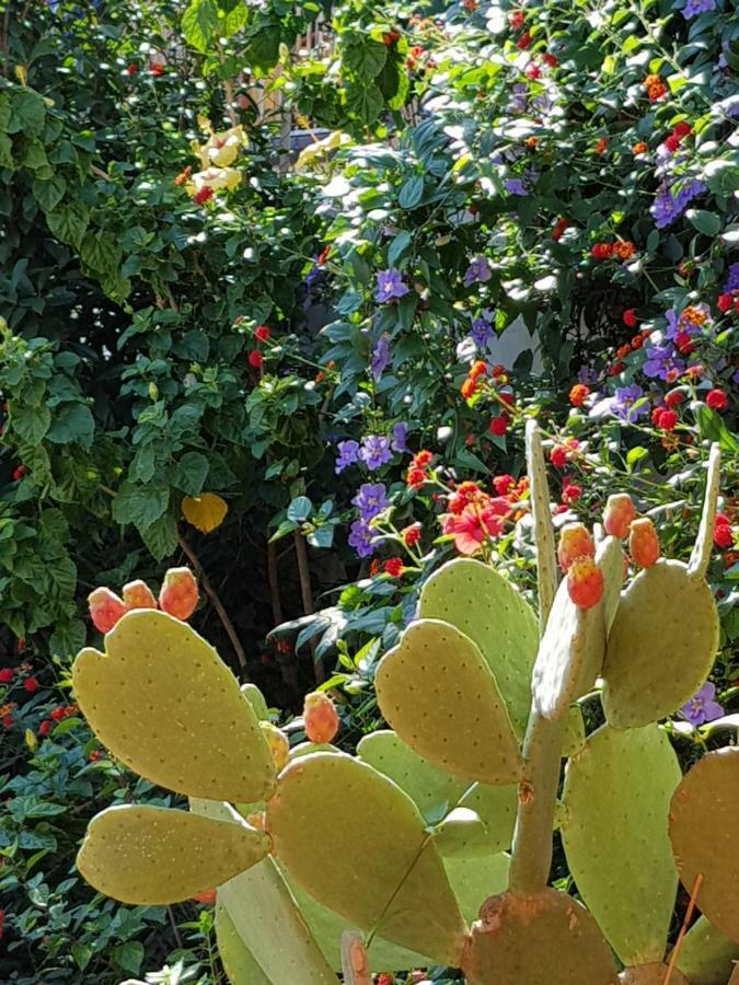 La Foresteria Garden Boutique B&B Catania Luaran gambar